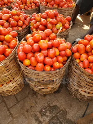 Tattashe Tomato Peper Onion