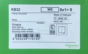Original 2 Gang 2Way Switch Schnider