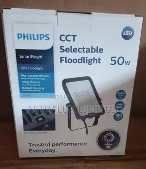 Philips 50w Floodlight