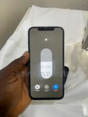 Apple iPhone 12 Pro Max 128 GB Gray