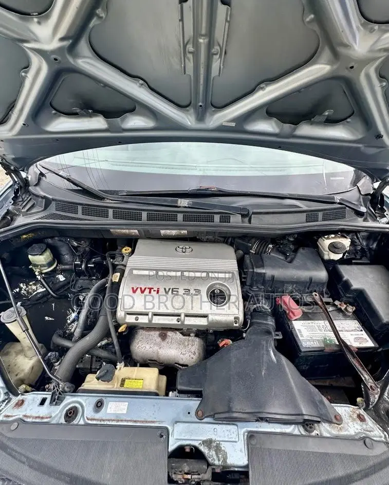 Toyota Sienna 2006 Blue