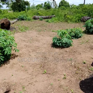Land for Sales