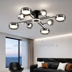 Home Decoration Modern Ceiling Lamp Ceiling Lights