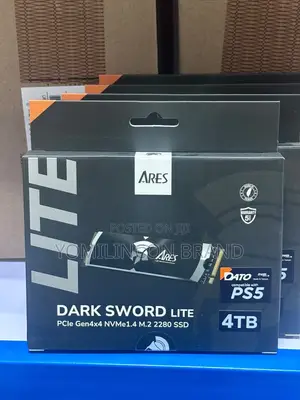DATO Gen4 SSD With Heatsink 4TB.