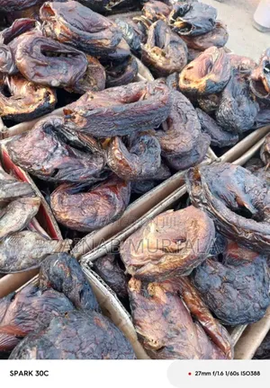 Borno River Breed Cat Fish