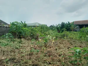 For Sale: 17 Plots of Land Along Rumuagholu Rd Near  New Airport Road