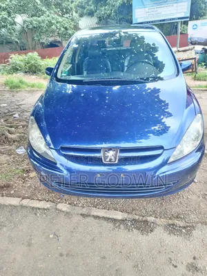 Peugeot 307 2007 Blue