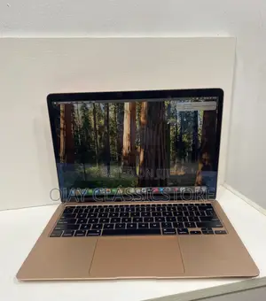 Laptop Apple MacBook Air 2020 8GB Intel Core i3 SSD 256GB