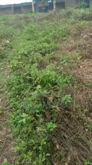Big Farm Land
