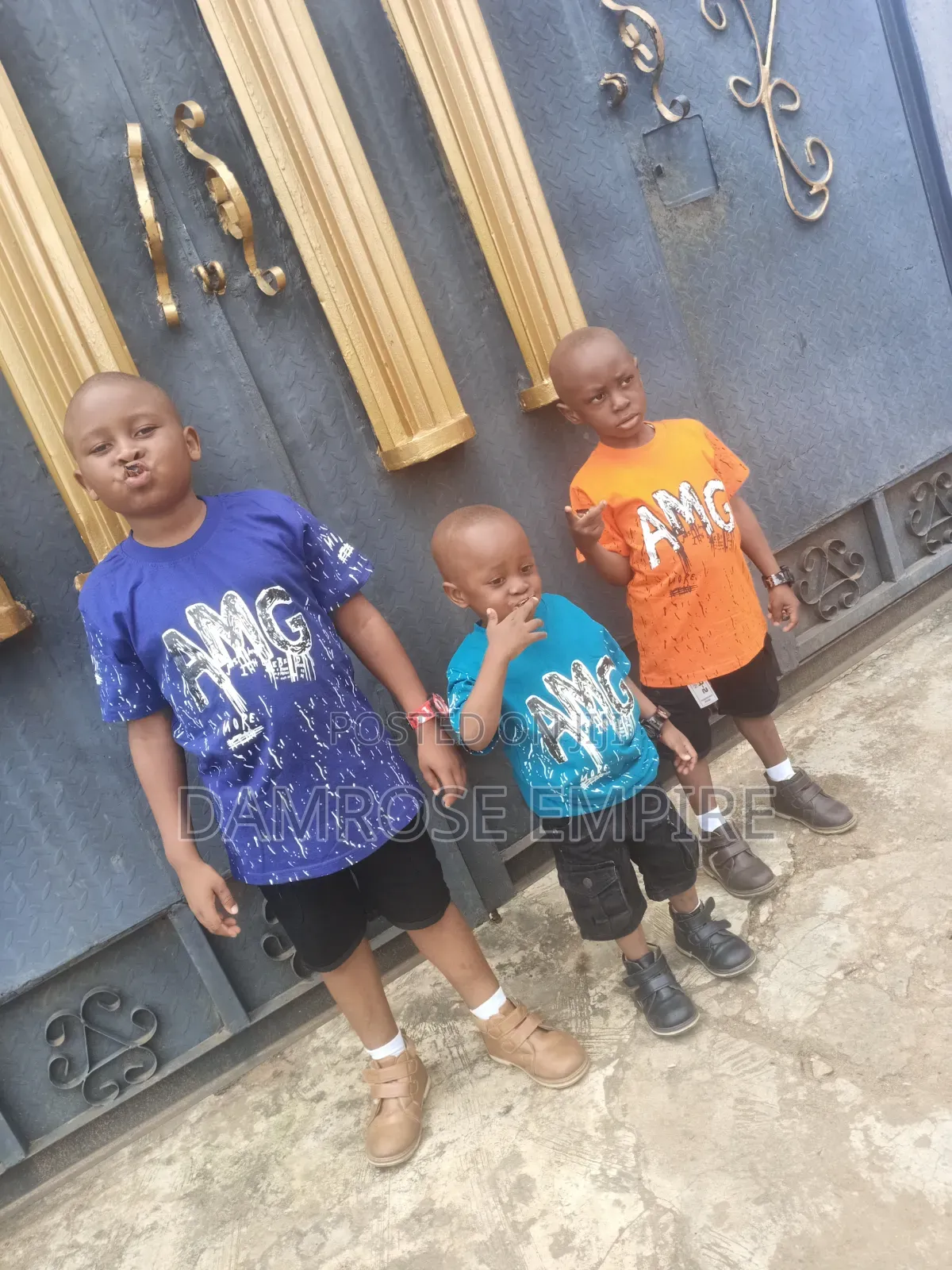 Damrose Empire Kiddies Hub