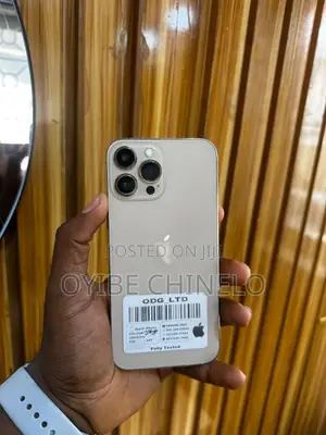 Apple iPhone 13 Pro Max 256 GB Gold