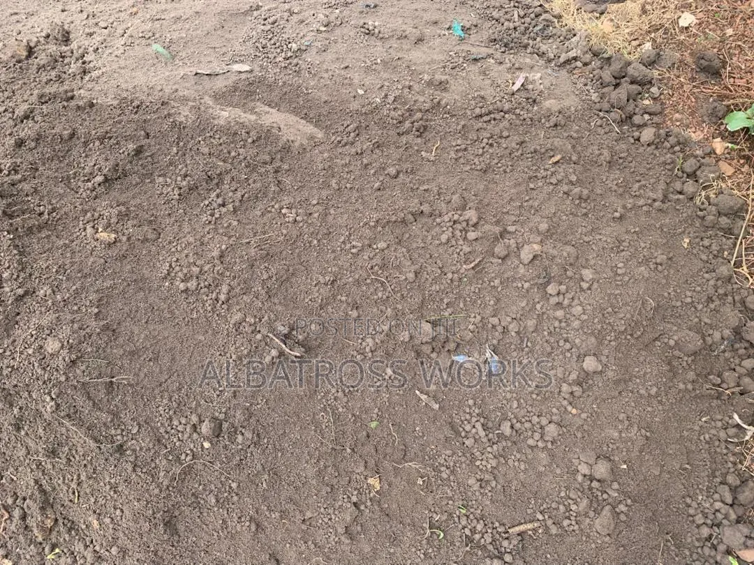 Black Soil/Loamy Soil