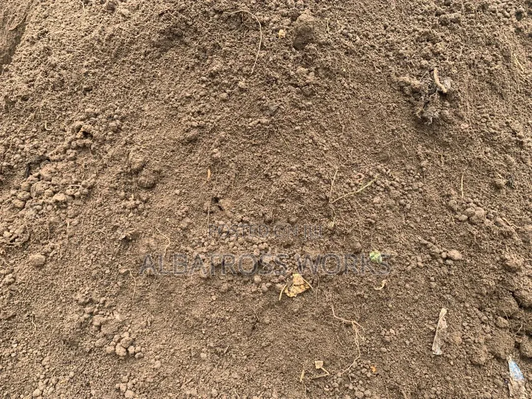Black Soil/Loamy Soil