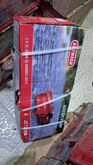 2hp Elester Surface Water Pump