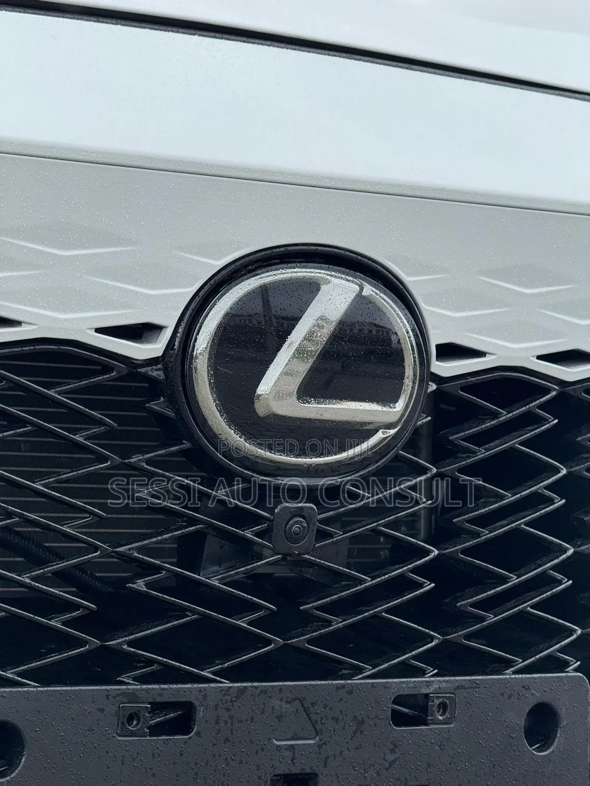 Lexus RX 2024 White