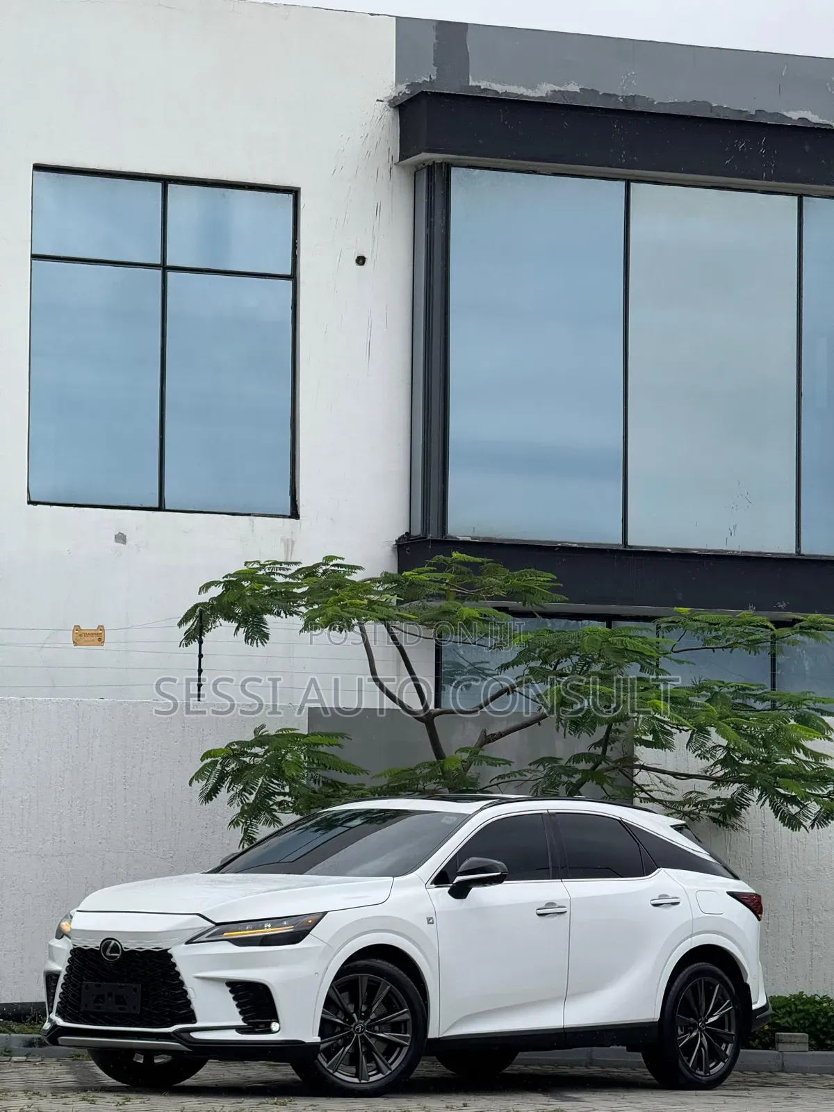 Lexus RX 2024 White