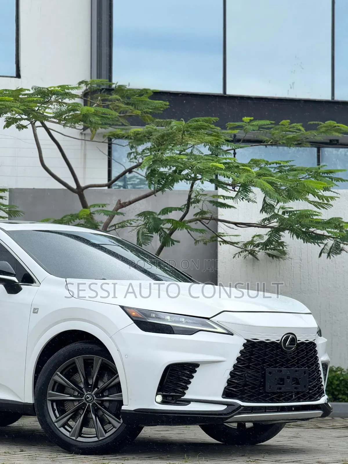 Lexus RX 2024 White