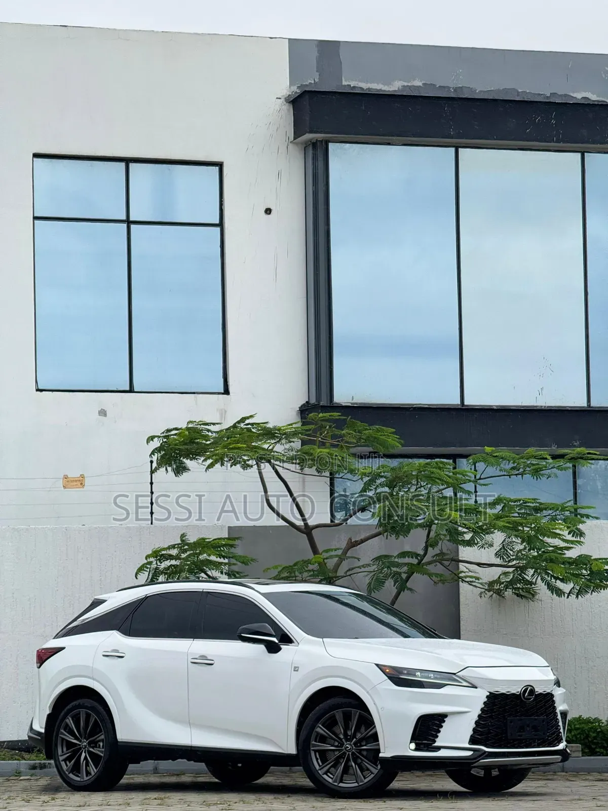 Lexus RX 2024 White