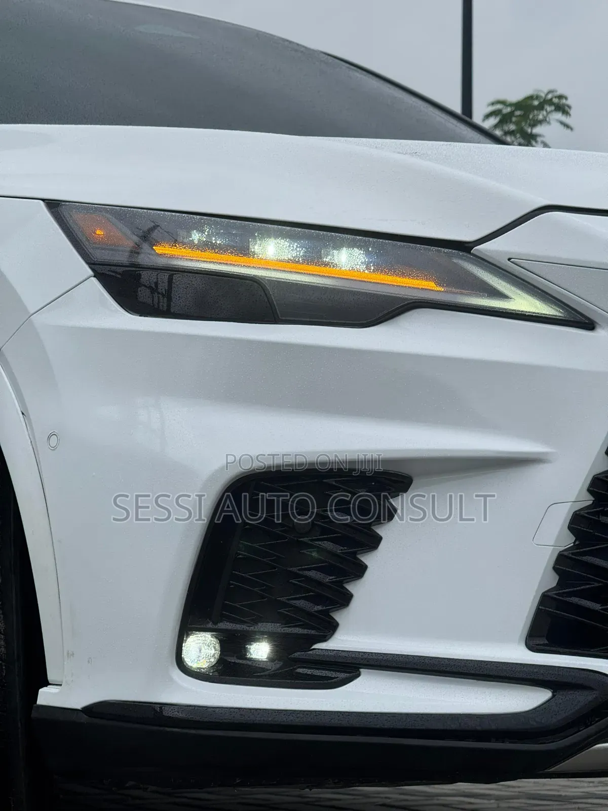 Lexus RX 2024 White