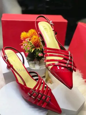Zara Shoes
