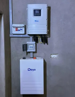 6kva Deye Hybrid Inverter+5kwh Deye Lithium+650w Bi-Fecial Panel X6