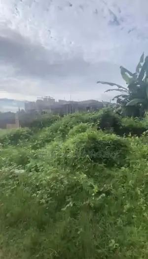 Land for Sales