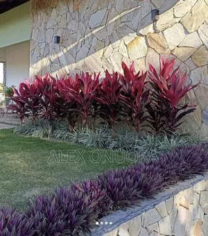Flowering and Landscape