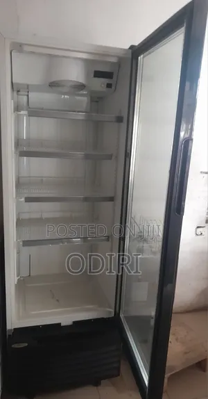 Haier Thermocool 396 Beverage Cooler