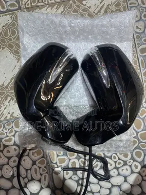 Lexus RX350 Side Mirror
