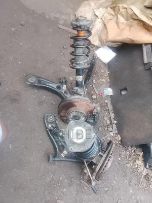 Complete Shock Arm and Hub Volkswagen Jetta6
