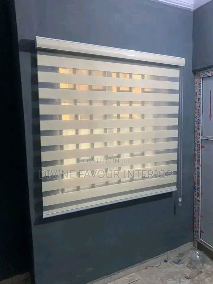 Day and Night Window Blinds