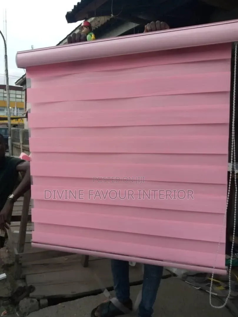 Day and Night Window Blinds
