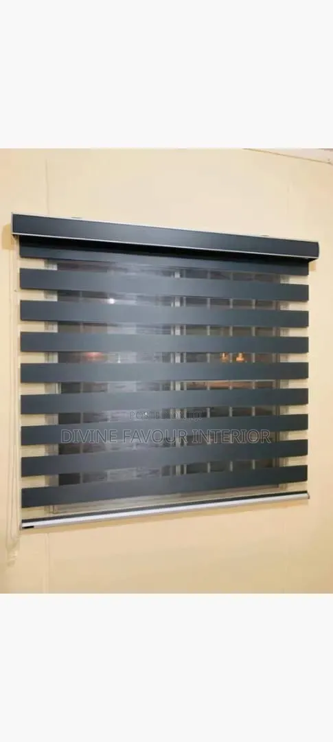 Day and Night Window Blinds