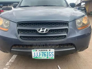 Hyundai Santa Fe 2009 Blue