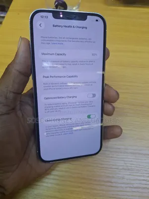Apple iPhone 12 Pro Max 256 GB Silver