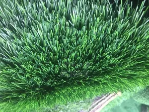 Grass Carpet