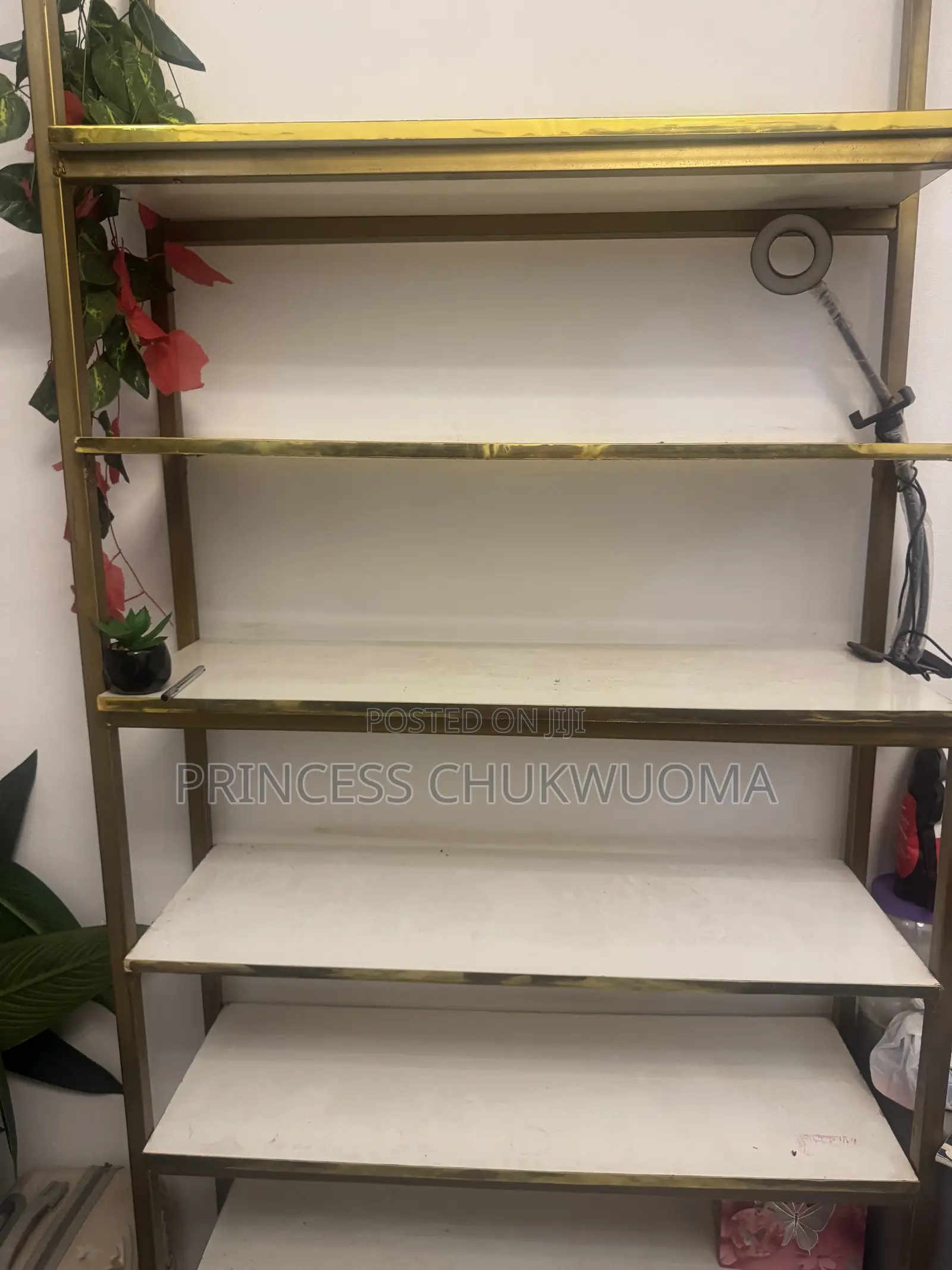 Classic Shelf