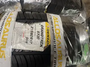 Original Dunlop Tires 215/60r17
