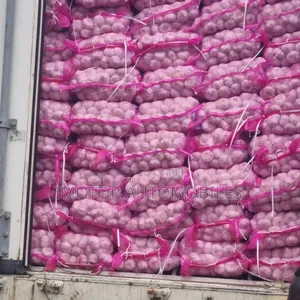 Bags of Fresh China Garlic for Sale in Large Quantity