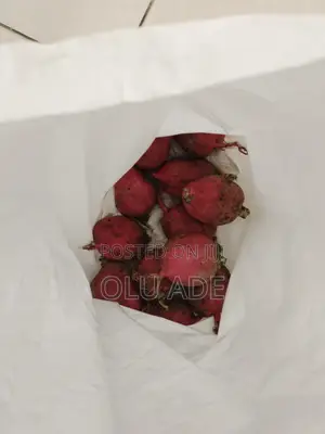 Radish for Sale