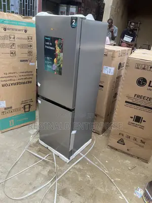 Hisense 225L Double Door Refrigerator