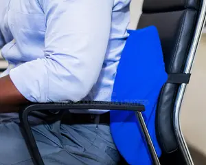 Vitavisco Back Seat Support