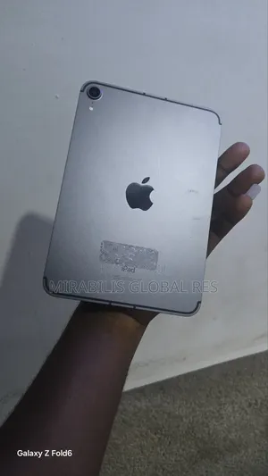 Apple iPad mini 6 256 GB Gray
