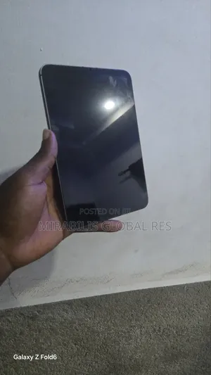 Apple iPad mini 6 256 GB Gray
