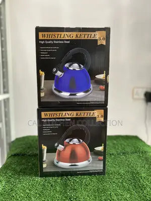 3 Liters Whiskling Kettle