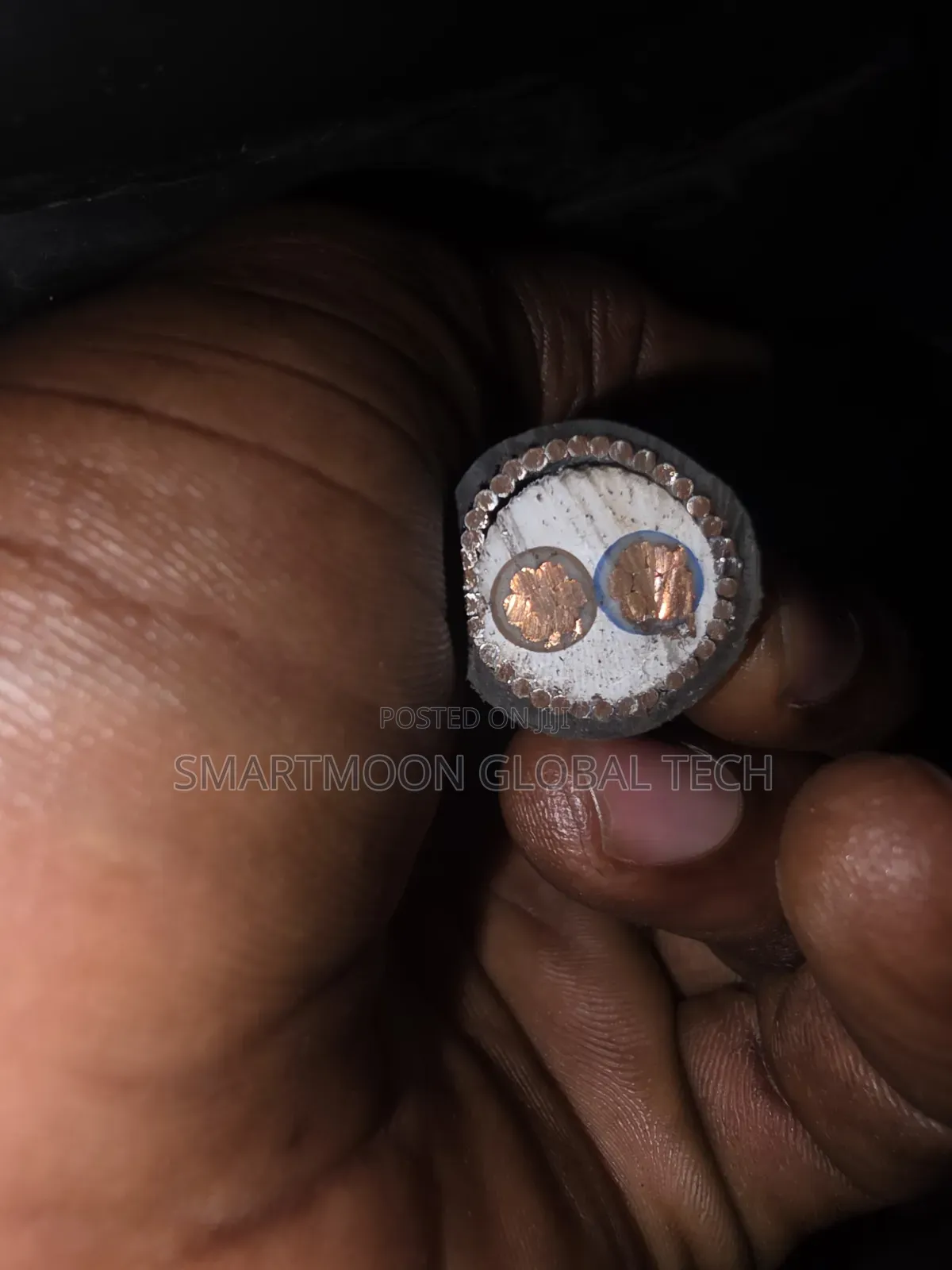 25mm 2core Armored Cable