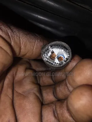 25mm 2core Armored Cable