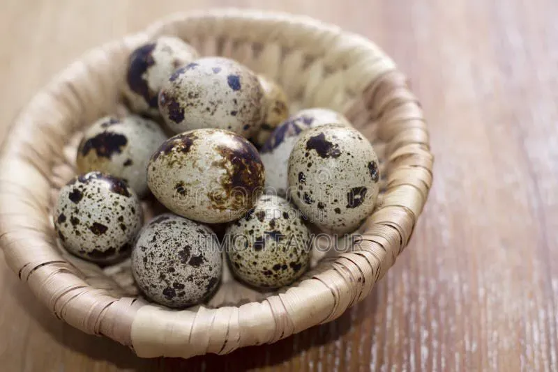 Organic Quail Eggs