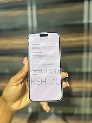 Apple iPhone 15 Pro Max 256 GB Silver