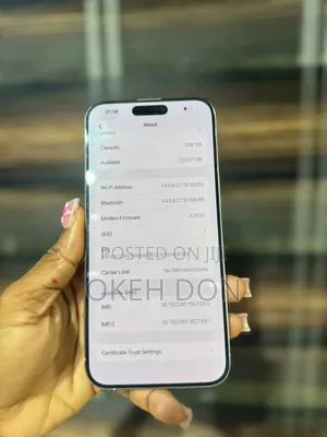 Apple iPhone 15 Pro Max 256 GB Silver